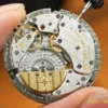 DSC08632_watermarked_20250613140646_20250613140647