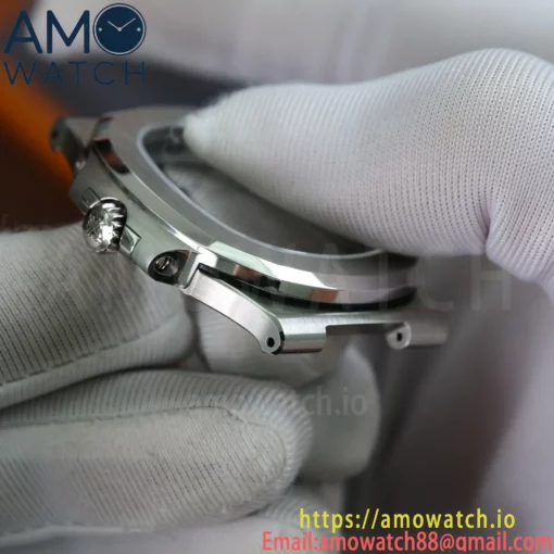 P1090309_watermarked_20250614145301_20250614145302
