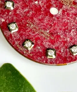 image_20250926212323_20250926212324