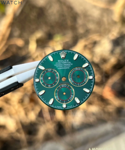 image_20250919143527_20250919143534