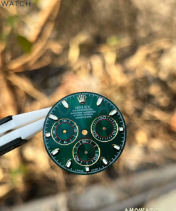 image_20250919143431_20250919143436