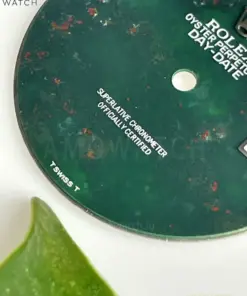 image_20250928135636_20250928135637